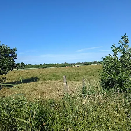 Luxury Retreat In - By Traum Casa vacanze *