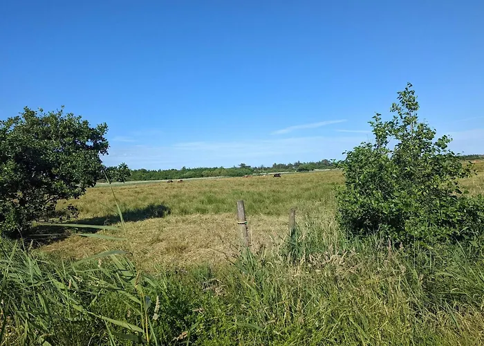 Luxury Retreat In - By Traum Holiday home *